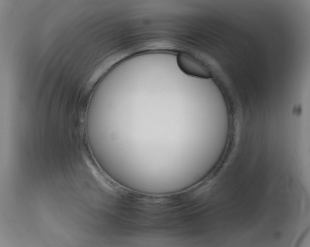 X0000112971225200908270935