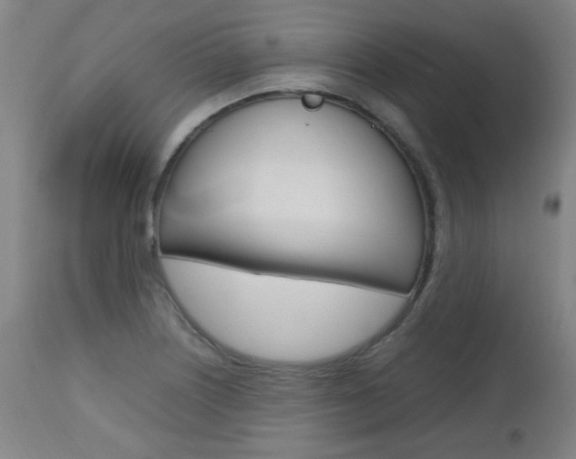 X0000112971226200908270935