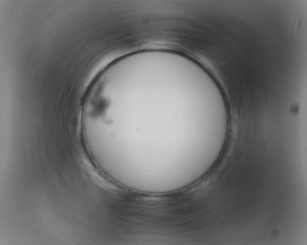 X0000112971227200908270935