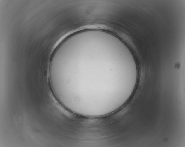 X0000112971228200908270935