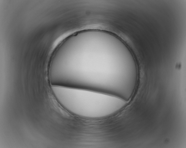 X0000112971230200908270935