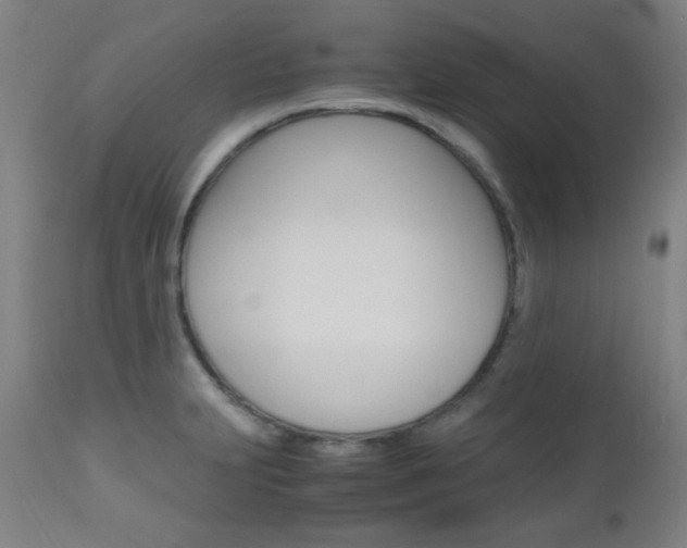 X0000112971231200908270935