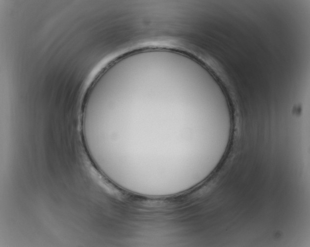 X0000112971232200908270935