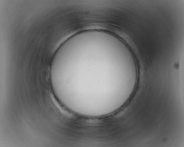 X0000112971233200908270935