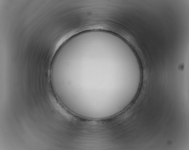 X0000112971234200908270935