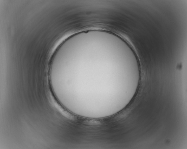 X0000112971235200908270935