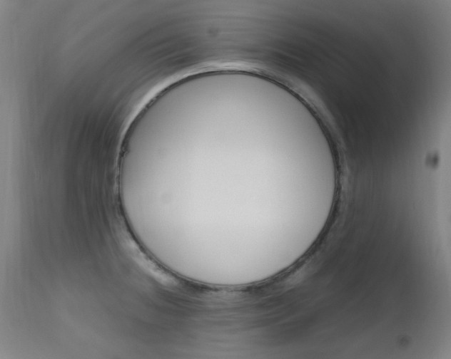 X0000112971236200908270935