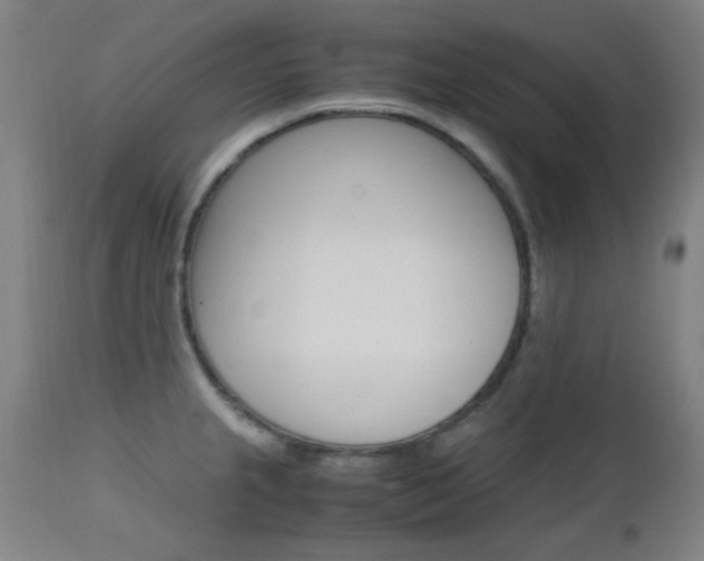 X0000112971237200908270935