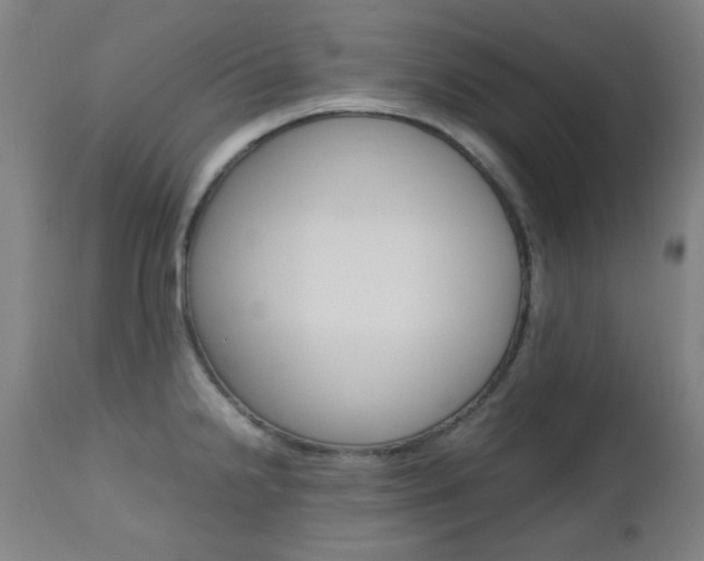 X0000112971238200908270935