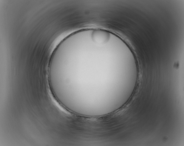 X0000112971239200908270935