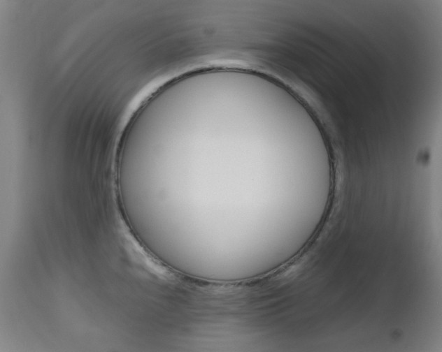 X0000112971240200908270935