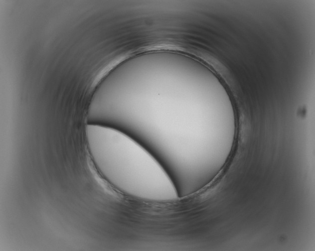 X0000112971241200908270935