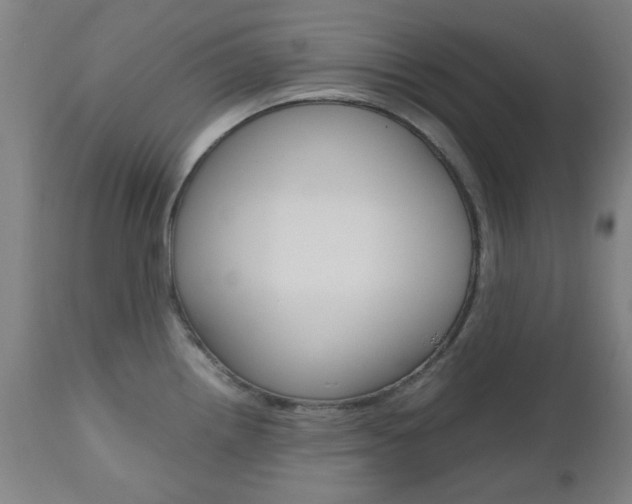 X0000112971242200908270935