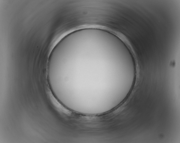 X0000112971244200908270935