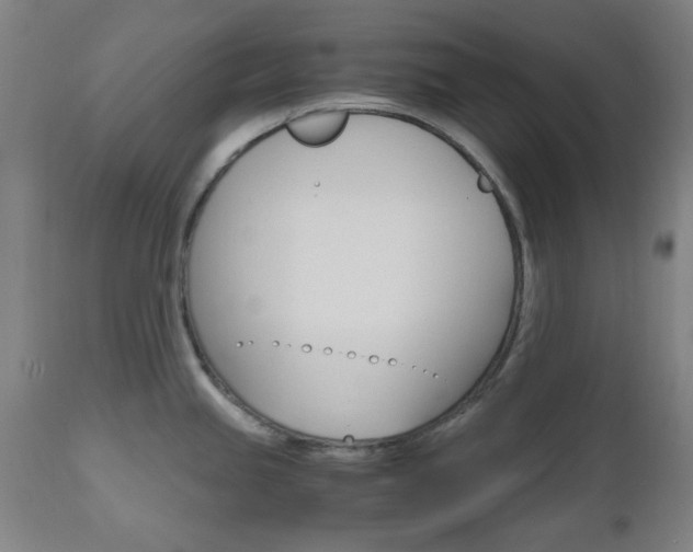 X0000112971245200908270935