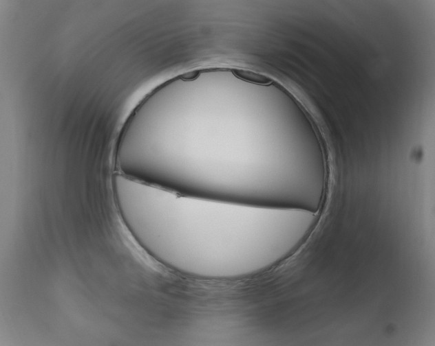 X0000112971246200908270935