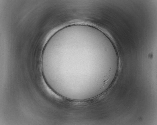 X0000112971247200908270935