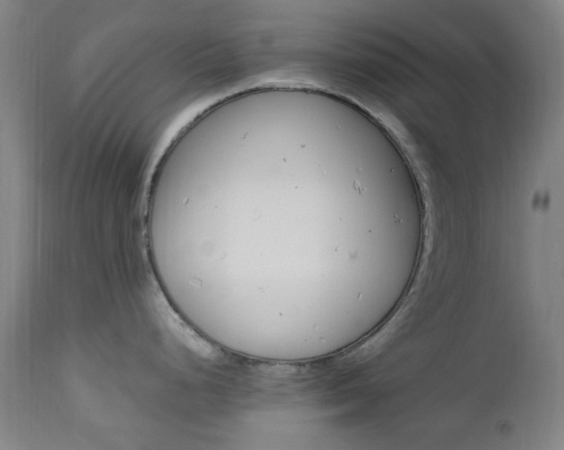 X0000112971248200908270935