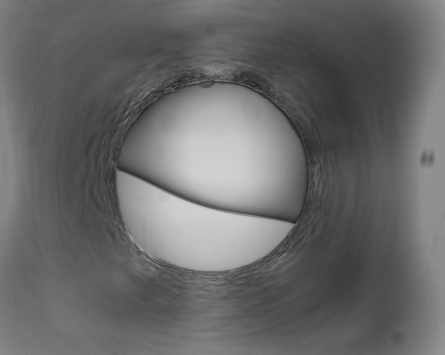 X0000112971249200908270935