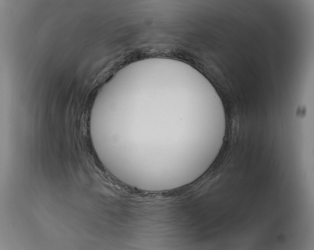 X0000112971250200908270935