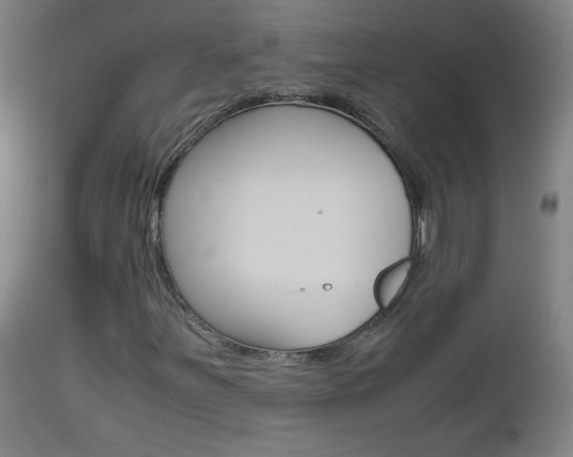X0000112971251200908270935
