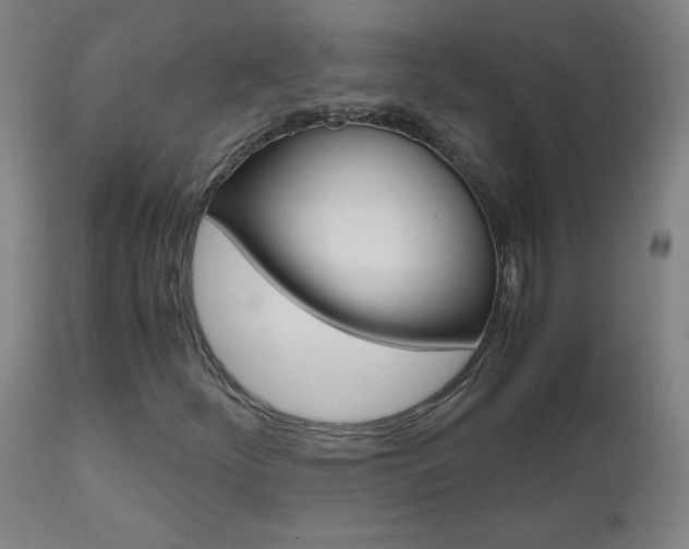 X0000112971252200908270935