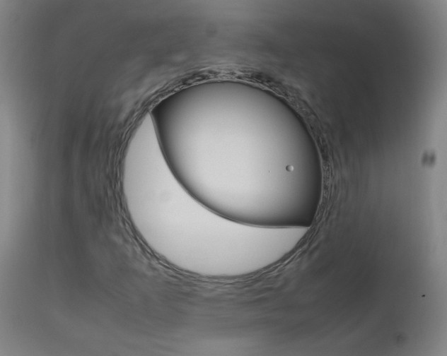 X0000112971253200908270935