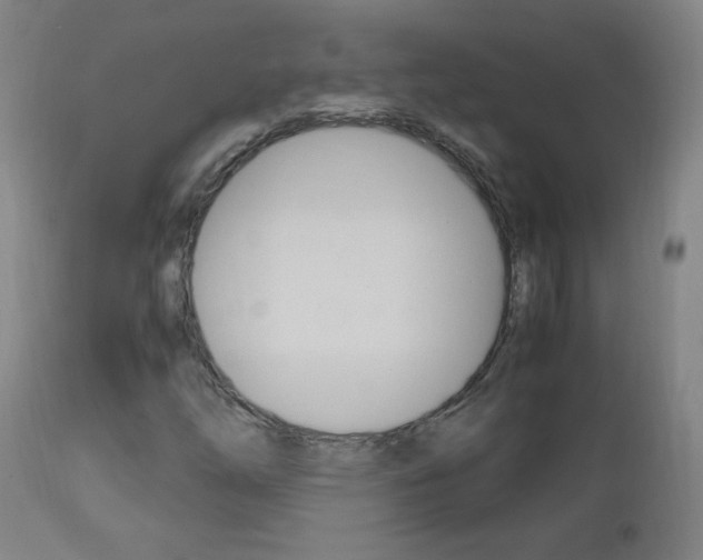 X0000112971254200908270935