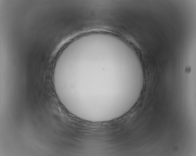 X0000112971256200908270935