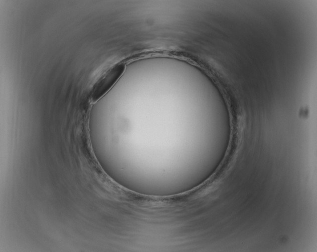 X0000112971257200908270935