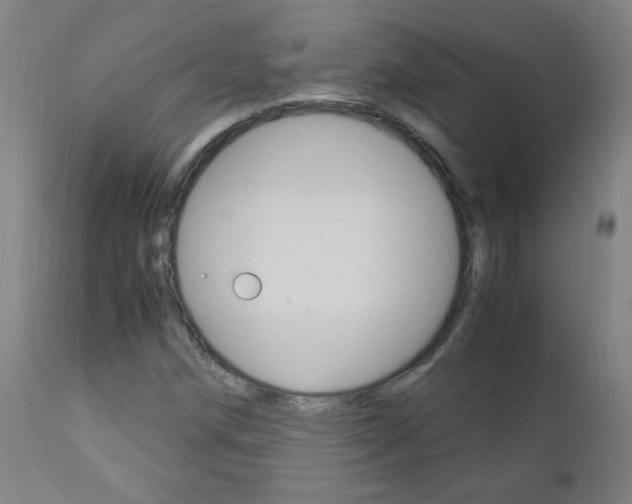 X0000112971258200908270934