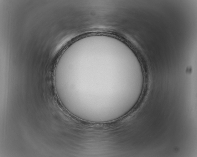 X0000112971259200908270934