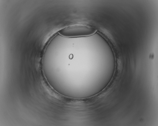X0000112971260200908270934
