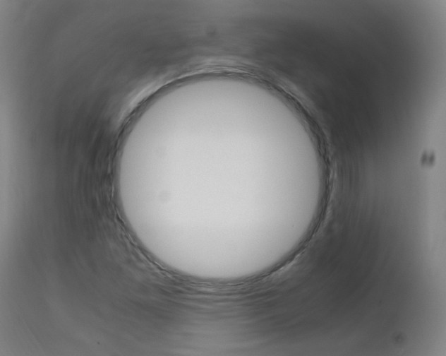 X0000112971261200908270934