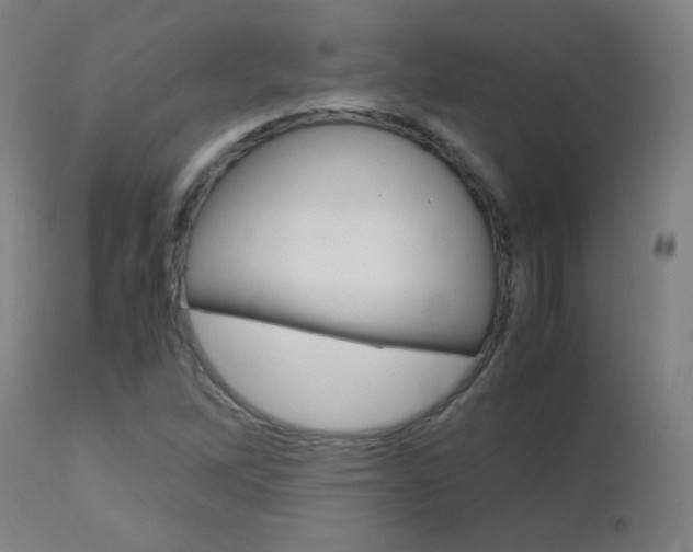 X0000112971262200908270934