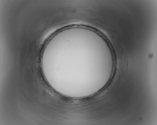 X0000112971263200908270934