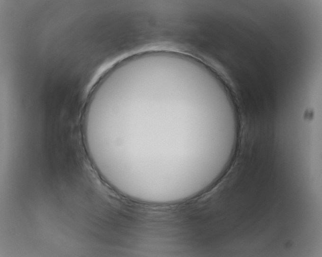 X0000112971264200908270934