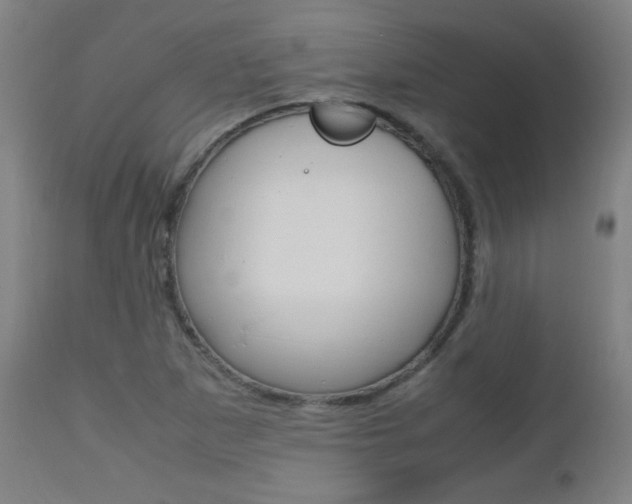 X0000112971265200908270934