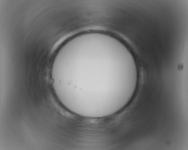 X0000112971266200908270934