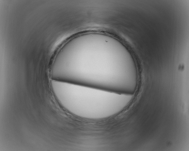 X0000112971267200908270934