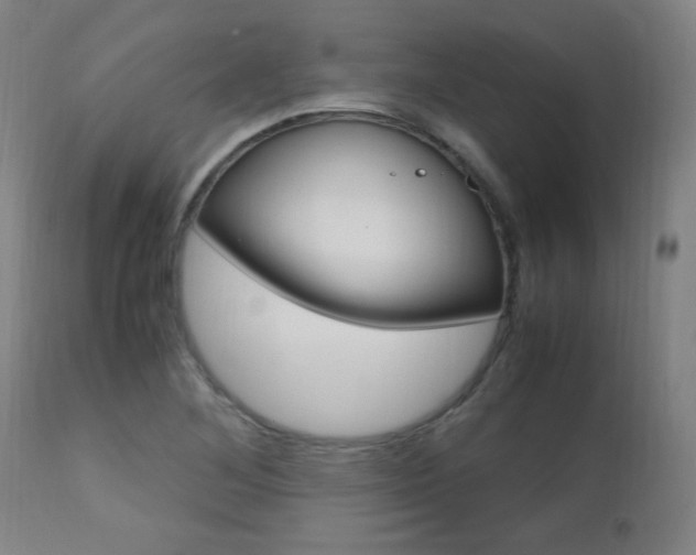 X0000112971268200908270934