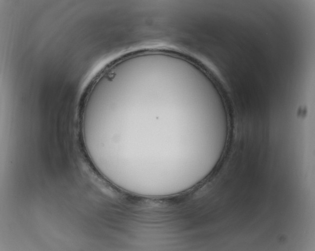 X0000112971270200908270934