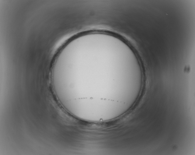 X0000112971271200908270934
