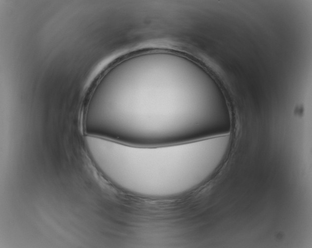 X0000112971272200908270934