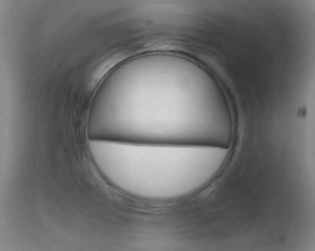X0000112971273200908270934