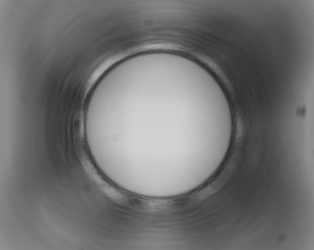 X0000112971274200908270934