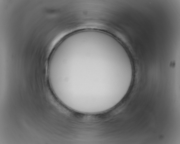 X0000112971275200908270934