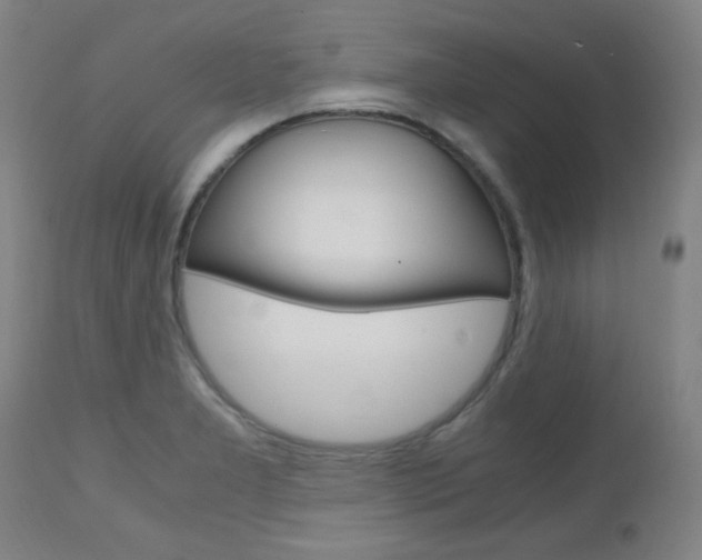X0000112971277200908270934