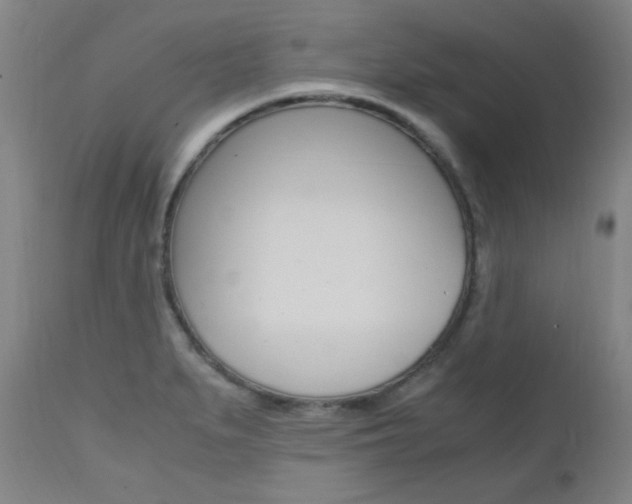 X0000112971279200908270934