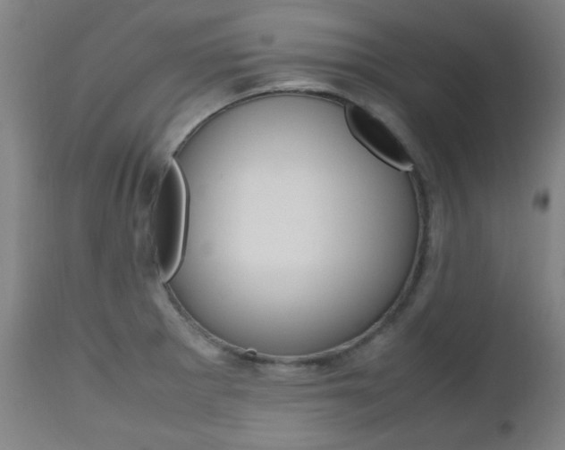 X0000112971281200908270934